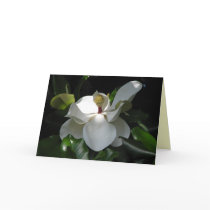 Southern Magnolia Greeting Card