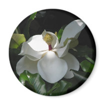 Southern Magnolia magnets by lalagniappe Southern Magnolia magnets