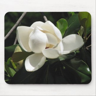 Southern Magnolia mousepad