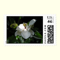 Southern Magnolia postage