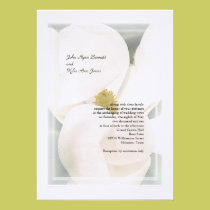 Southern Magnolia Wedding Invitations invitations