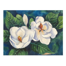 Southern Magnolias Post Card