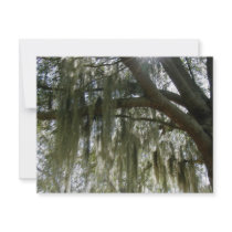 Southern Moss invitations