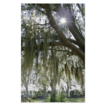 Southern Moss stationery