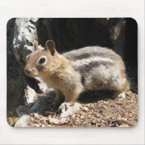 Southern Oregon Chipmunk Mouse Pads