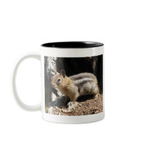 Southern Oregon Chipmunk Mugs