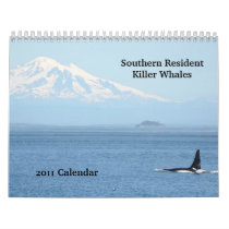 Southern Resident Killer Whales Wall Calendar