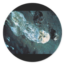 Southern Sea Otters Stickers