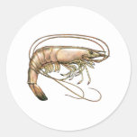 Southern Shrimp Art Sticker