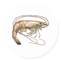 Southern Shrimp Art stickers