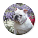 Southern Spring Magnets