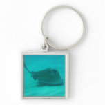 Southern Stingray 2 Keychains