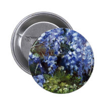 Southern Wisteria Flowers in Louisiana buttons