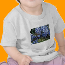 Southern Wisteria Flowers in Louisiana t-shirts