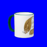 southernflounderspecies
