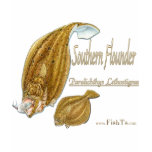 southernflounderspecies
