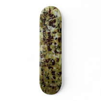 Southhampton skateboards
