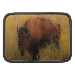 'Southwest Buffalo of the Prarie' Planner