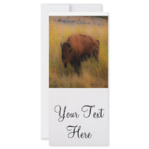 'Southwest Buffalo of the Prarie' Rack Card Template