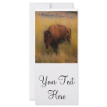 'Southwest Buffalo of the Prarie' rack cards