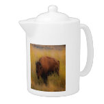 'Southwest Buffalo of the Prarie'