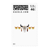 Southwest Buffalo Skull