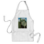 Southwest Cactus aprons