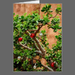 Southwest Christmas Card cards