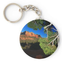 Southwest Christmas Key Chain