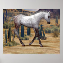 Southwest Foal Poster