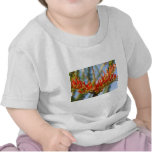 Southwest Ocotillo Bloom Shirt