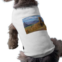 Southwest:  Old Mission pet clothing