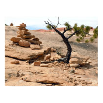 Southwestern Landscape Poster posters
