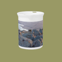 Southwestern Oklahoma Mountain Scenery of Mt Scott pitchers