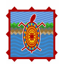 Southwestern Sea Turtle Scene
