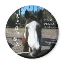Souvenir Magnet - Laredo