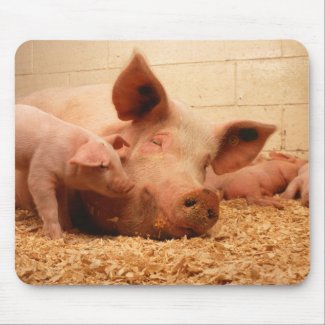 Sow and piglets mousepad