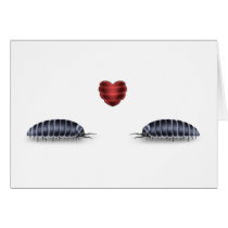 Sow Bug Luv (Lets Roll Togeather) cards
