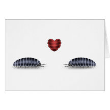 Sow Bug Luv (Lets Roll Togeather) Card