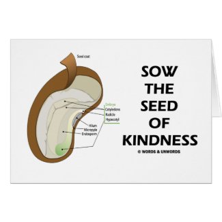 Sow The Seed Of Kindness (Seed Anatomy Humor) Greeting Card