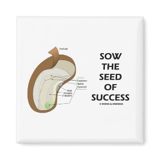 Sow The Seed Of Success (Seed Anatomy Humor) magnet