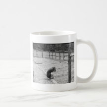 Sowing the Seeds of Love Mugs