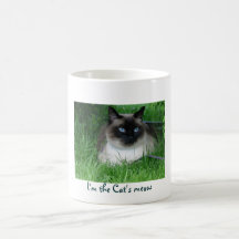 Soy el maullido del gato taza de café
