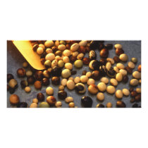 Soybeans photo cards