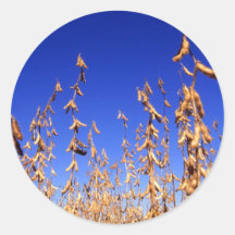 Soybeans Round Sticker