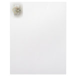 Spa Puppy Letterhead