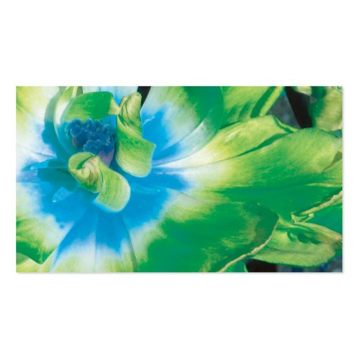 Spa - Salon Green Flower Business Card (back side)