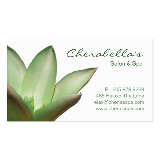 Spa - Salon Massage Therapy Business Card Green (front side)