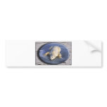 SPACE BEAR III BUMPER STICKER
