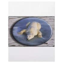 SPACE BEAR III LETTERHEAD